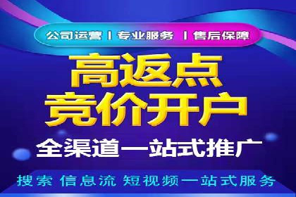 百度竞价SEM案例：揭秘高效广告投放技巧